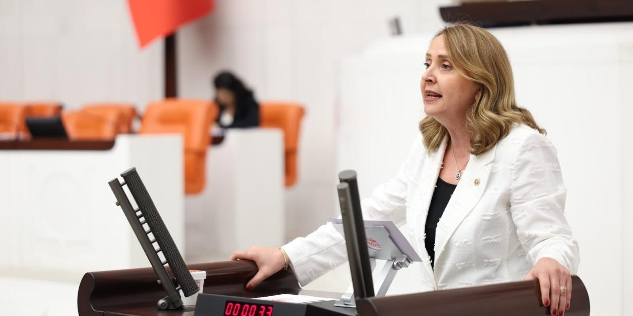 Semra Dinçer’den Staj ve Çırak Mağdurları İçin Meclis’te Çağrı: “Emeğin İlk Günü, İlk Sigorta Günüdür!”