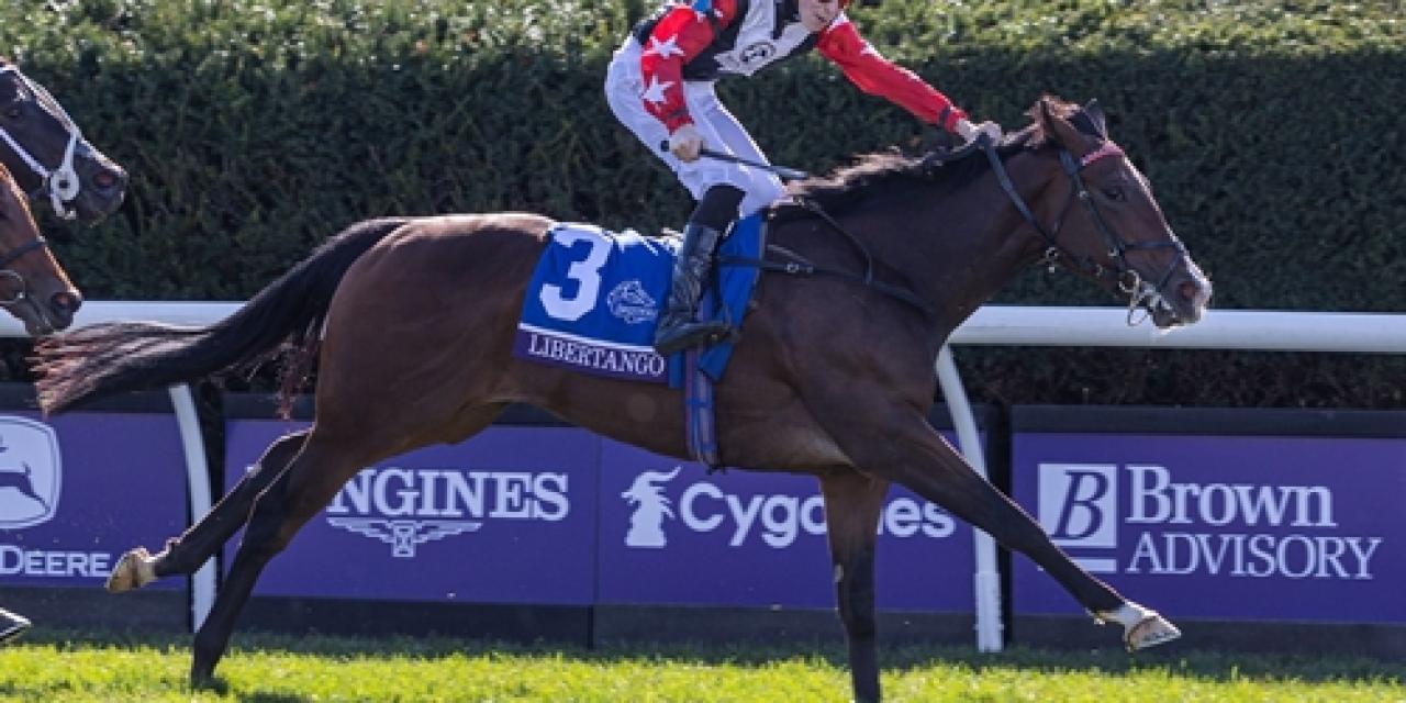 Aracı Ekürisi’nden Breeders’ Cup Juvenile Turf Sprint Galibiyeti
