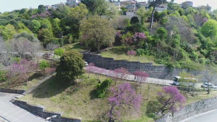 İstanbul Boğazı’nda Erguvan zamanı