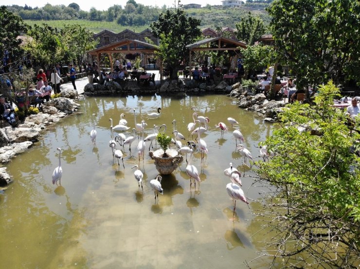 "Flamingolu Köy" Anneler Günü’nde Ziyaretçi Akınına Uğradı