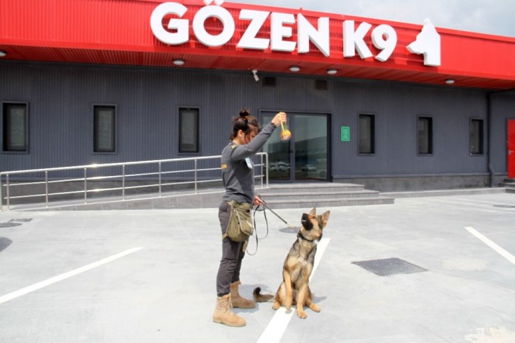 Apron Güvenliği Özel Köpeklere Emanet
