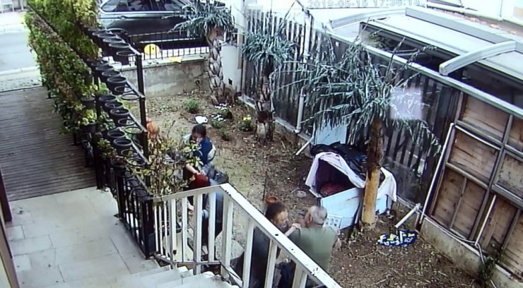 Esnaflar Arasında Kedi Kavgası Şaşkınlık Yarattı!