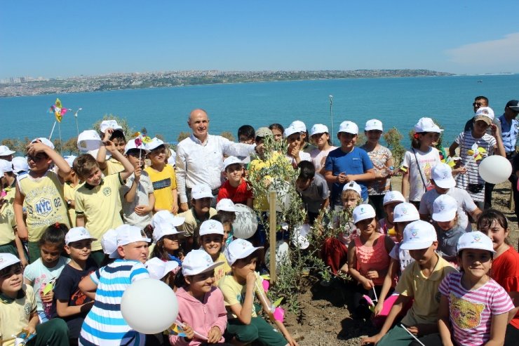 Büyükçekemece’de ‘1001’ Zeytin Ağacı Fidanı