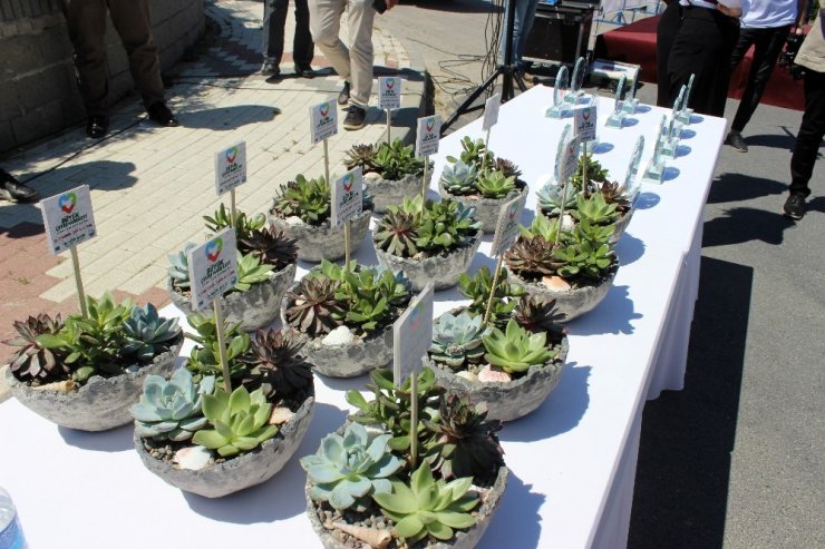 Büyükçekemece’de ‘1001’ Zeytin Ağacı Fidanı