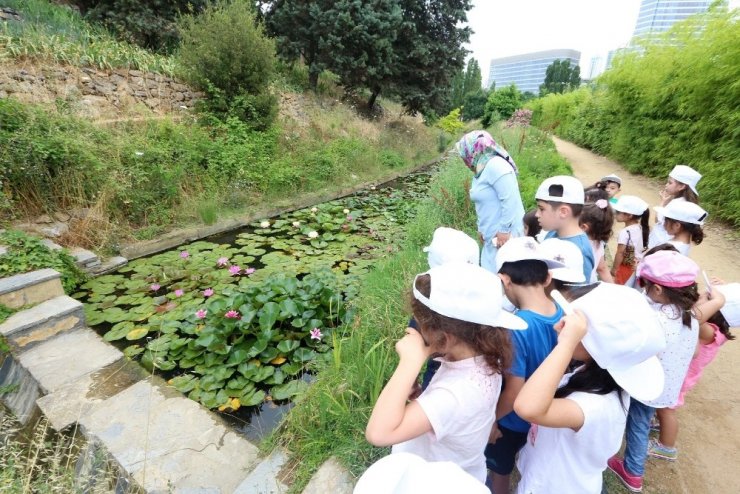 Minik dedektifler botanik bahçesinde keşfe çıktı