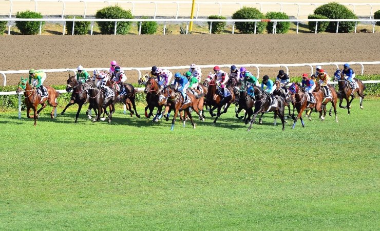 93. Gazi Koşusu’nun kazananı The Last Romance