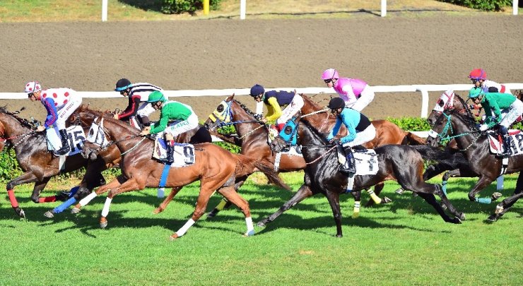 93. Gazi Koşusu’nun kazananı The Last Romance