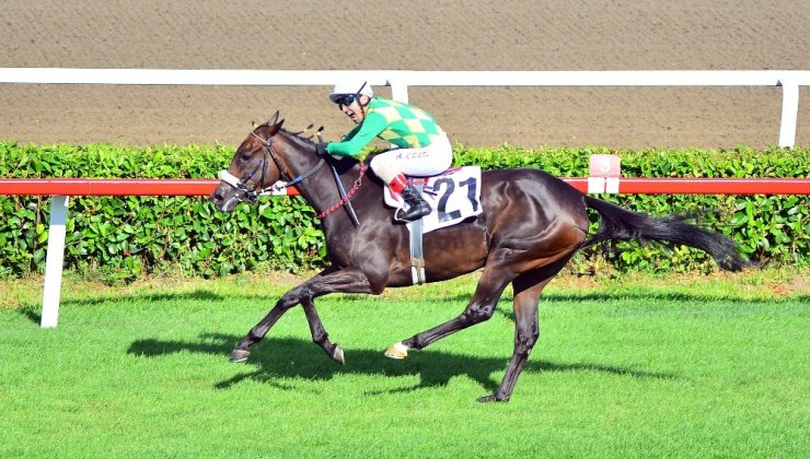 93. Gazi Koşusu’nun kazananı The Last Romance