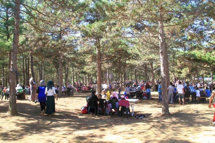 Başakşehir’de yaz etkinlikleri başlıyor