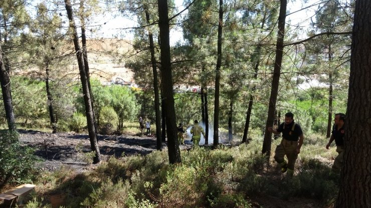 Tuzla’da ormanlık alanda yangın paniği