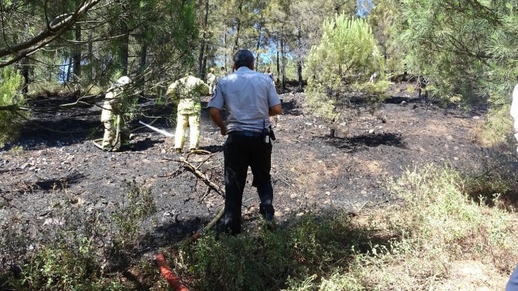 Tuzla’da ormanlık alanda yangın paniği