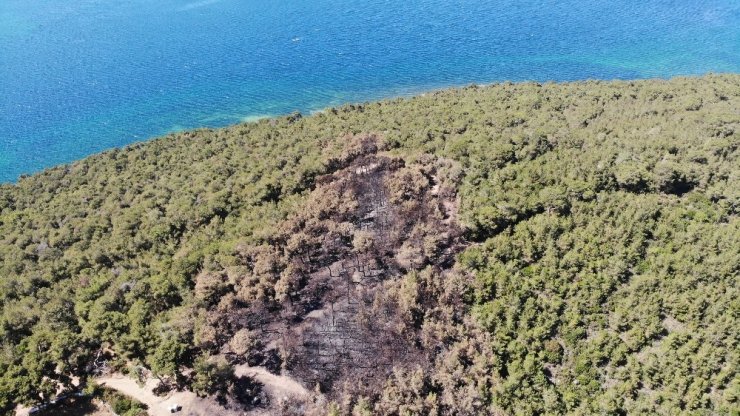 Heybeliada’da ormanda çıkan yangının sebep olduğu zarar havadan görüntülendi