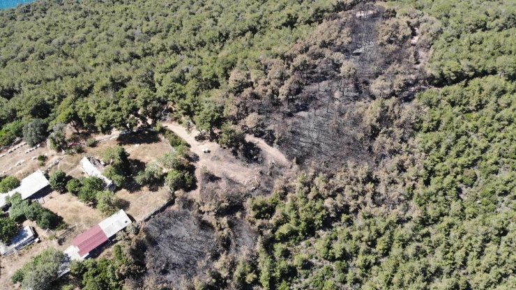 Heybeliada’da ormanda çıkan yangının sebep olduğu zarar havadan görüntülendi