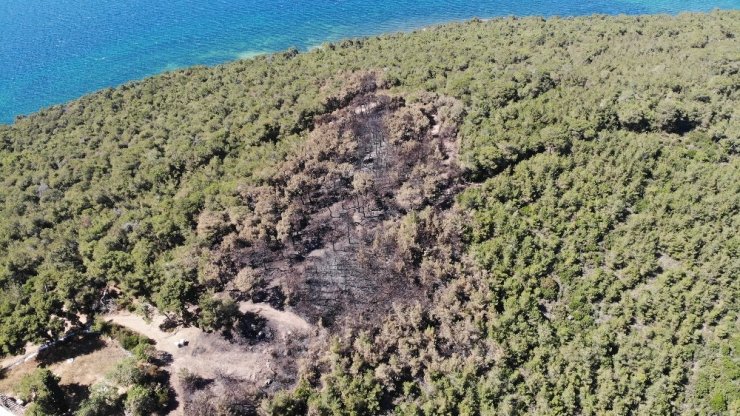 Heybeliada’da ormanda çıkan yangının sebep olduğu zarar havadan görüntülendi