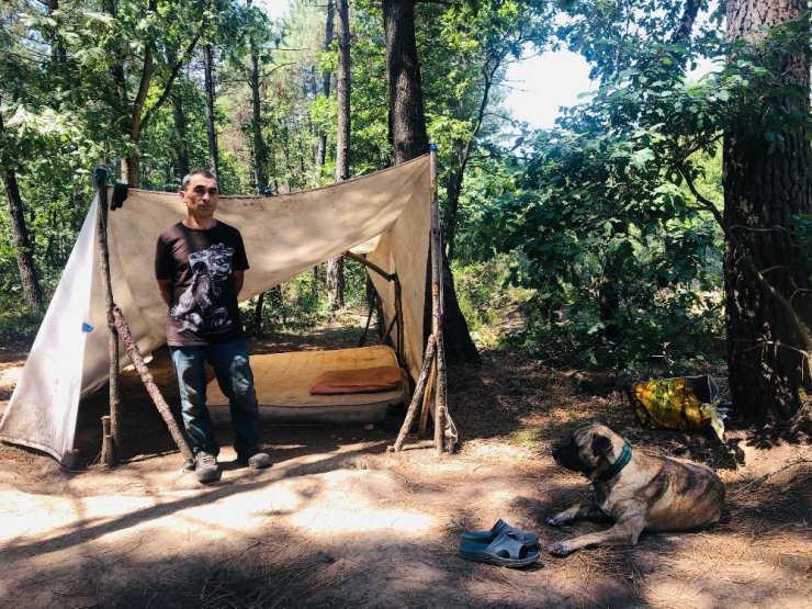 KÖPEKLERİYLE BERABER 6 YILDIR ORMANDA YAŞIYORDU