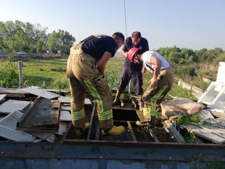 AVCILAR’DA SU KUYUSUNDAN KURBANLIK DANA KURTARMA OPERASYONU