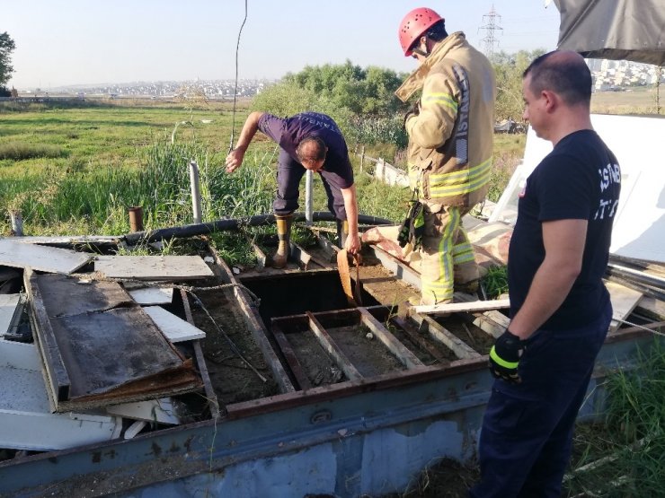 AVCILAR’DA SU KUYUSUNDAN KURBANLIK DANA KURTARMA OPERASYONU