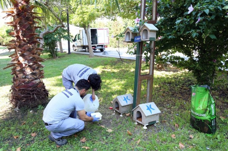 KÜÇÜKÇEKMECE’DE SOKAK HAYVANLARI UNUTULMUYOR
