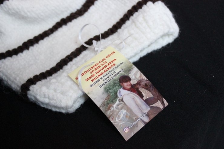 SOKAK HAYVANLARI İÇİN ÇALDIĞI KEMANI HIRSIZLARIN HEDEFİ OLDU