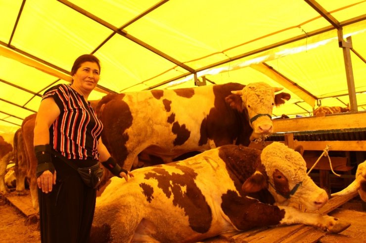 KÜÇÜKÇEKMECE KURBAN PAZARININ TEK KADIN BESİCİSİ