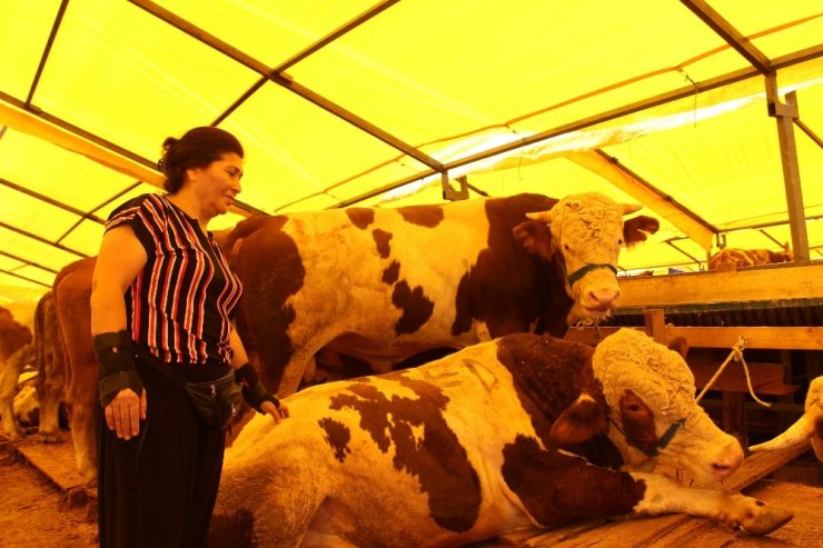 KÜÇÜKÇEKMECE KURBAN PAZARININ TEK KADIN BESİCİSİ