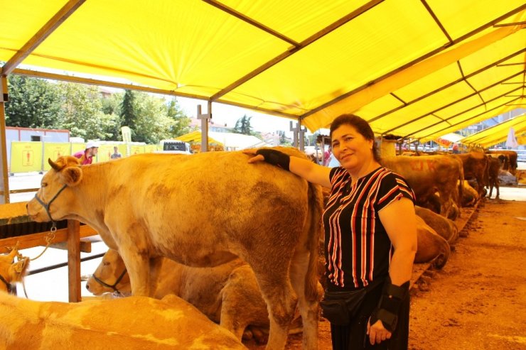 KÜÇÜKÇEKMECE KURBAN PAZARININ TEK KADIN BESİCİSİ