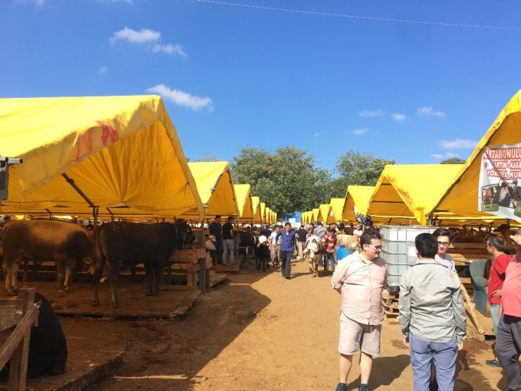 Başkan Çebi, Vatandaşla Bayramlaştı