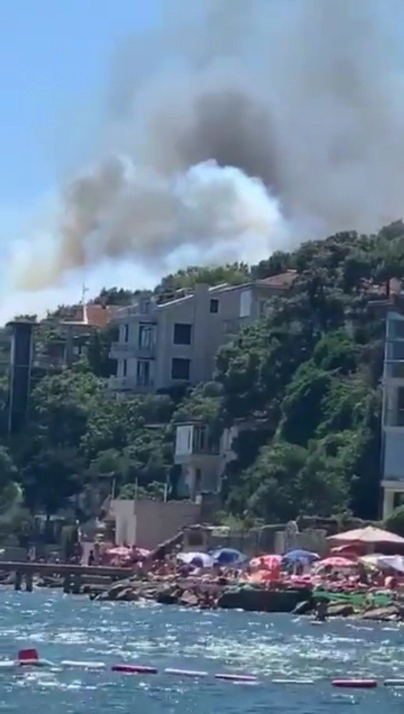 BURGAZADA’DA KORKUTAN ORMAN YANGINI