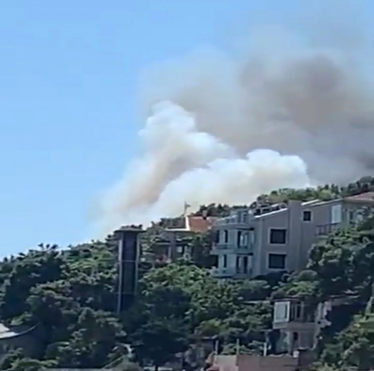 BURGAZADA’DA KORKUTAN ORMAN YANGINI