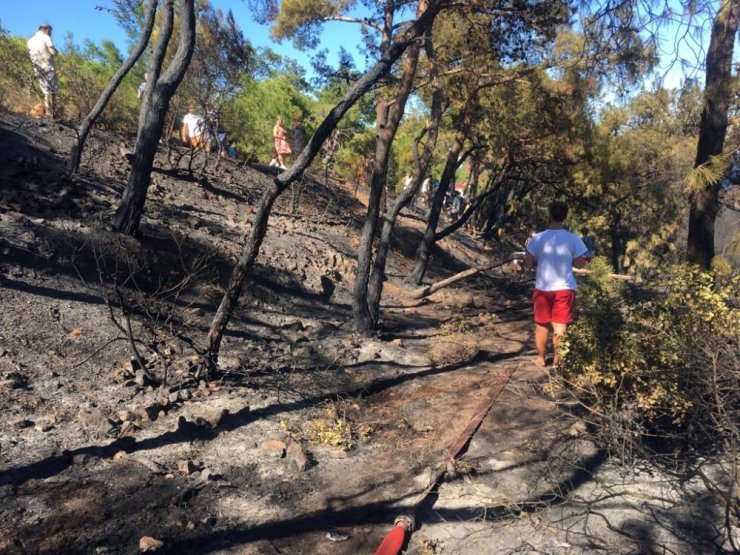 BURGAZADA’DA ORMAN YANGINI KONTROL ALTINA ALINDI