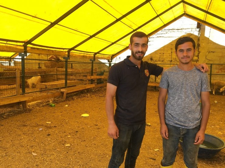 KURBANLIKLARIN YÜZDE 90’I BİTTİ