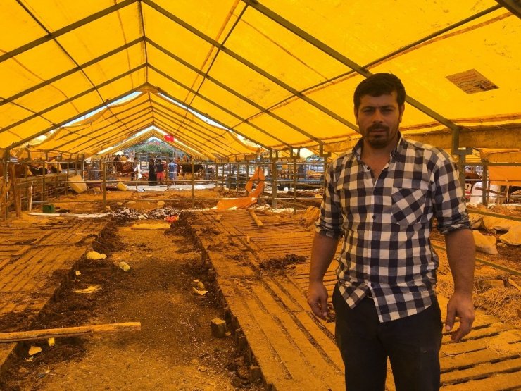 KURBANLIKLARIN YÜZDE 90’I BİTTİ