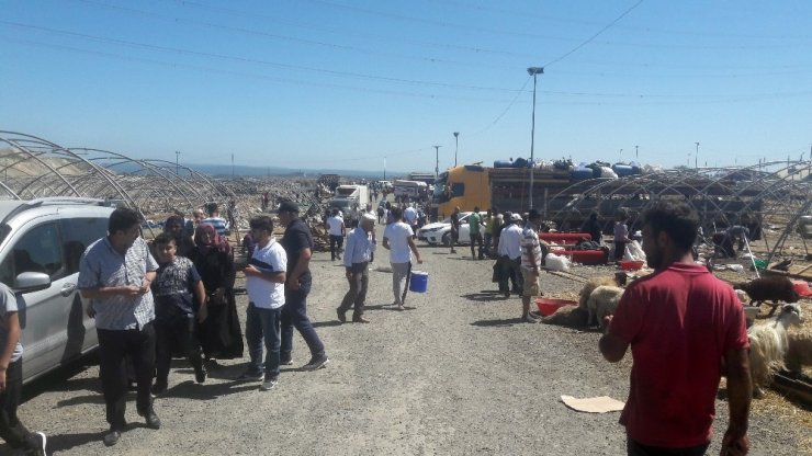 KURBAN ÇADIRLARI BİR YANDAN TOPLANIRKEN BİR YANDAN PAZARLIKLAR SÜRÜYOR