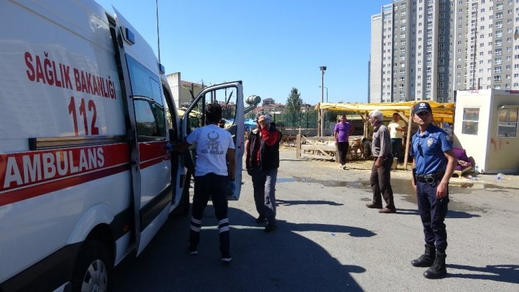 KURBAN PAZARINDA SOPALI KAVGA: 2 YARALI