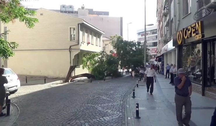 SİLİVRİ’DE YIKILAN AĞAÇ CADDEYİ TRAFİĞE KAPATTI