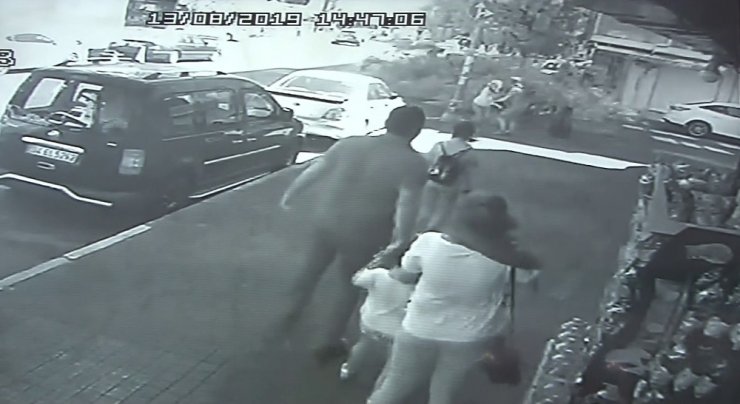 Kadınların Üzerine Ağaç Devrildi