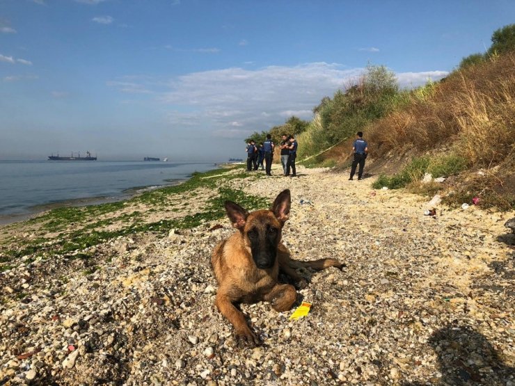 Beylikdüzü Sahili’nde bebek cesedi şoku