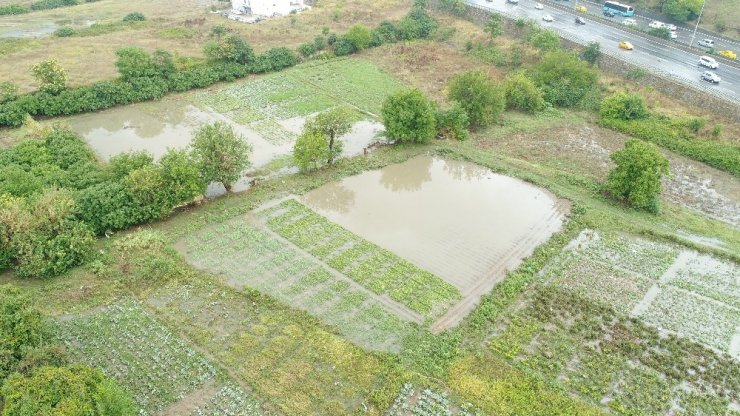 Ataşehir’de su basan seralar havadan görüntülendi