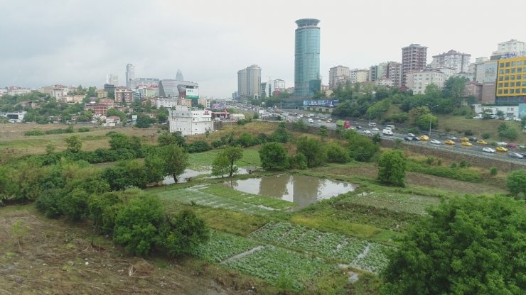 Ataşehir’de su basan seralar havadan görüntülendi