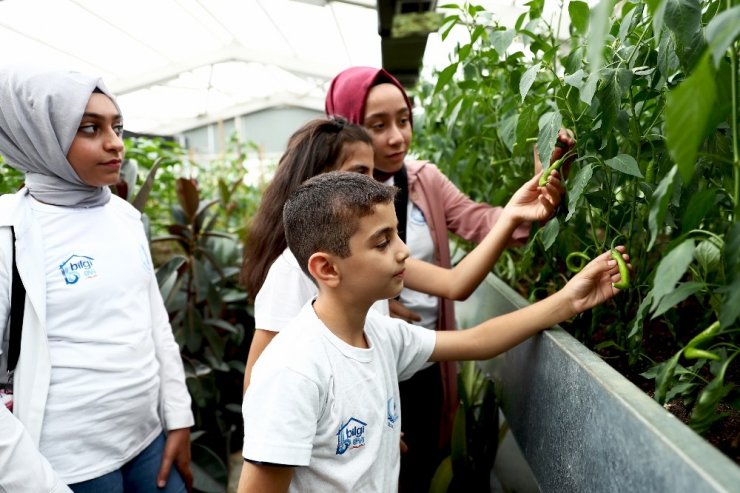 Bağcılar’da çocuklar organik tarımla büyüyor