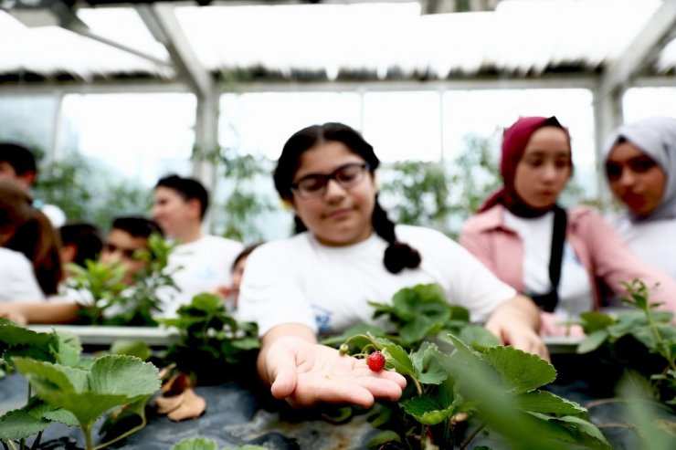 Bağcılar’da çocuklar organik tarımla büyüyor