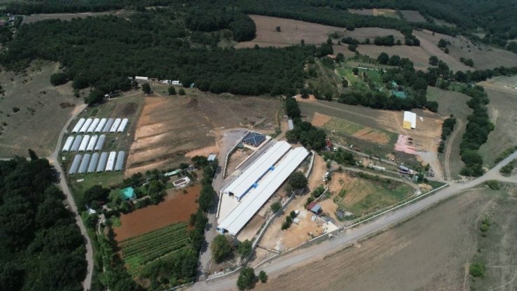 Pendik Belediyesi, yatırım değeri yüksek iki adet tarımsal arsayı satışa çıkardı