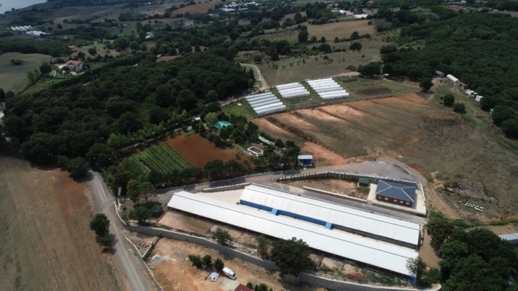 Pendik Belediyesi, yatırım değeri yüksek iki adet tarımsal arsayı satışa çıkardı