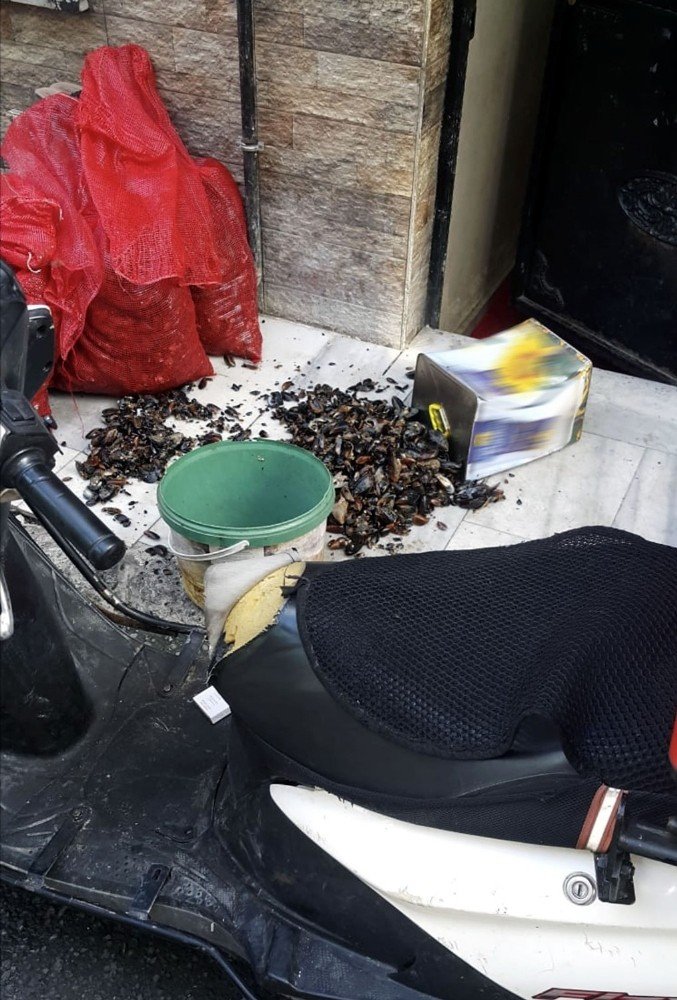 Beyoğlu’nda sağlıksız koşullarda çalışan 2 midye imalathanesi mühürlendi