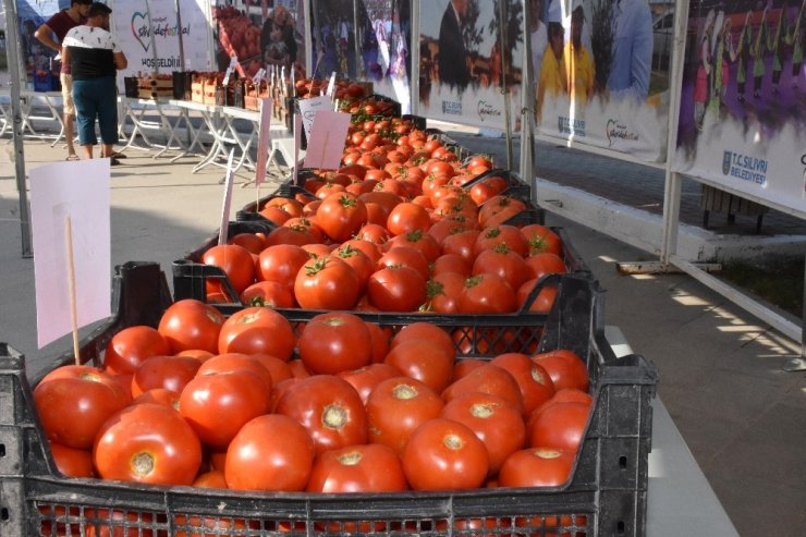 Değirmenköy Domates Festivali’nde köy pazarı müjdesi