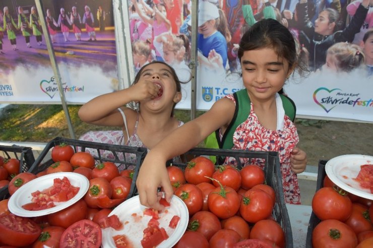 Değirmenköy Domates Festivali’nde köy pazarı müjdesi