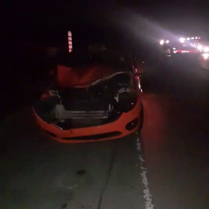 İstanbul Havalimanı yolunda taksinin çarptığı manda telef oldu