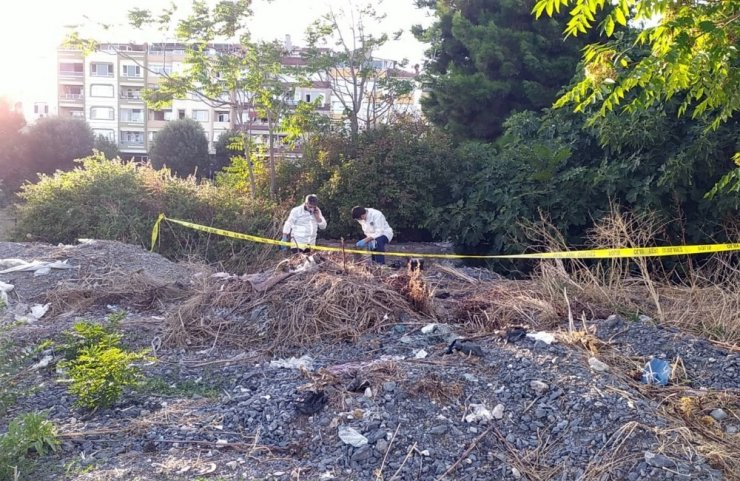 Kötü koku gelen ağaçlık alandan ceset çıktı