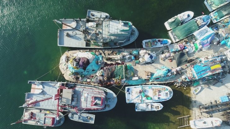 Balıkçılar yeni sezonda lüfer ve hamsiden umutlu
