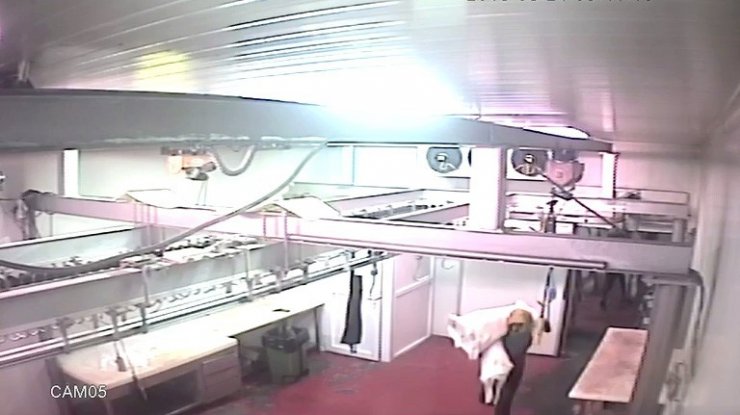 Maltepe’de 80 bin liralık et hırsızlığı kamerada